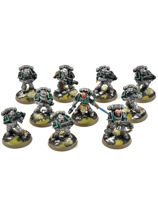 SPACE MARINES 10 Tactical Marines #2 WELL PAINTED Warhammer 40K