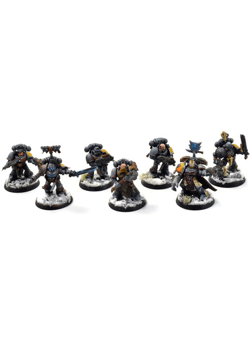 SPACE WOLVES 7 Grey Hunters #1 PRO PAINTED Warhammer 40K