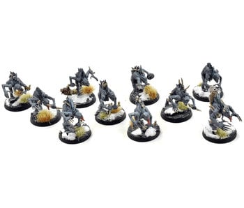 FLESH-EATER COURTS 10 Crypt Ghouls #5 Sigmar