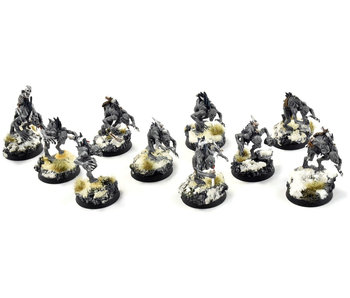 FLESH-EATER COURTS 10 Crypt Ghouls #3 Sigmar