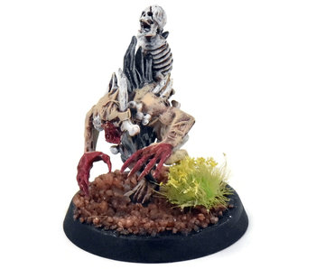 FLESH-EATER COURTS Crypt Ghast Courtier #5 Sigmar
