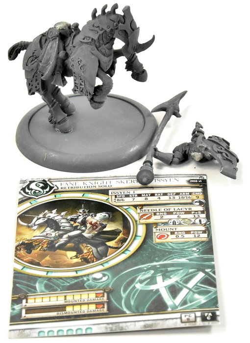 WARMACHINE Fane Knight Skeryth Issyen #1 METAL Retribution