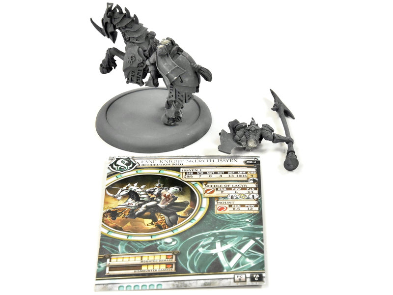WARMACHINE Fane Knight Skeryth Issyen #1 METAL Retribution
