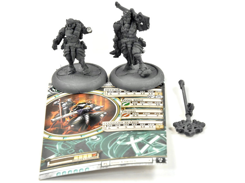 WARMACHINE House Guard Rifleman Officer & Standard #1 METAL Retribution