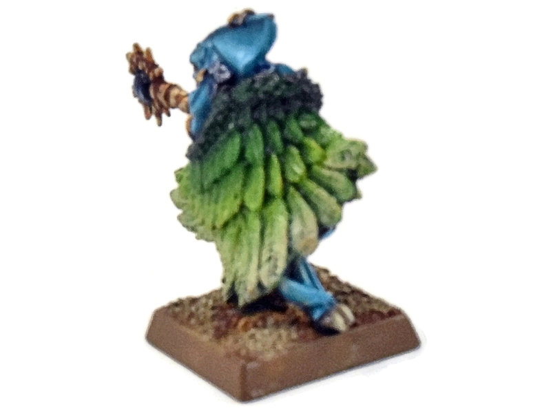 Games Workshop SERAPHON Skink Priest With Feathered Cloak #2 PRO PAINTED Sigmar