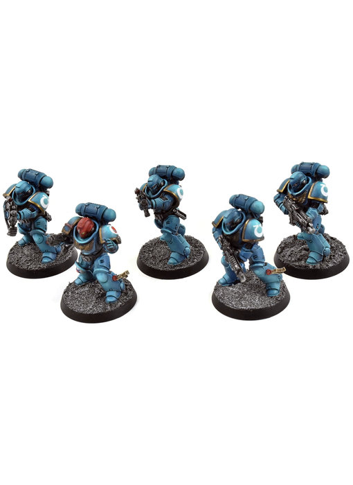 SPACE MARINES 5 Primaris Intercessors #5 PRO PAINTED Warhammer 40K Ultramarines