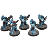 Games Workshop SPACE MARINES 5 Primaris Intercessors #5 PRO PAINTED Warhammer 40K Ultramarines