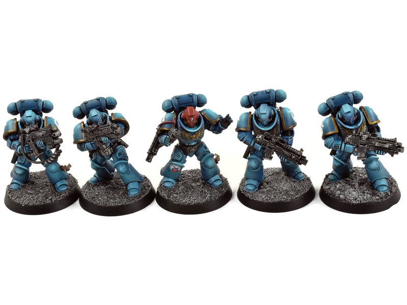 Games Workshop SPACE MARINES 5 Primaris Intercessors #5 PRO PAINTED Warhammer 40K Ultramarines