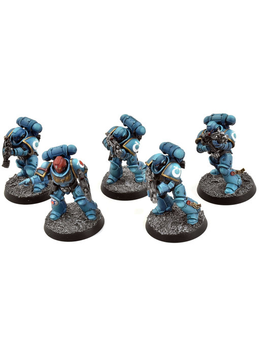 SPACE MARINES 5 Primaris Intercessors #3 PRO PAINTED Warhammer 40K Ultramarines