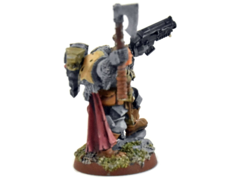 Games Workshop SPACE WOLVES Lord #1 CONVERTED PRO PAINTED Warhammer 40K
