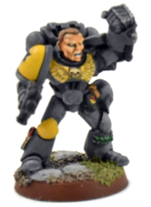 SPACE WOLVES Guard Sergeant #1 PRO PAINTED Warhammer 40K