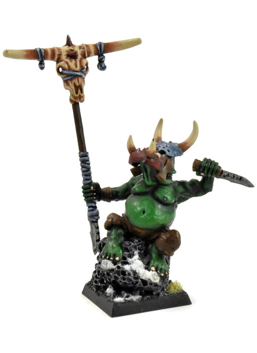 ORCS & GOBLINS Orc Shaman #1 CONVERTED WELL PAINTED Fantasy Warlord