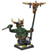 Games Workshop ORCS & GOBLINS Orc Shaman #1 CONVERTED WELL PAINTED Fantasy Warlord