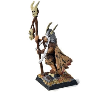 BEASTMEN Bray Shaman #1 Fantasy