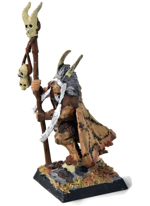 BEASTMEN Bray Shaman #1 Fantasy