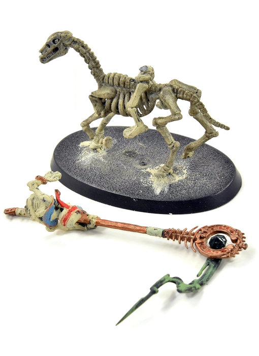 TOMB KINGS Standard Skeleton Horseman #1 Fantasy