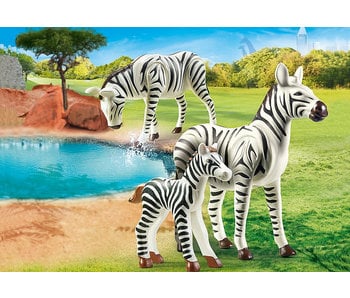 Zebras with Foal (70356)