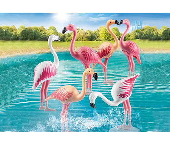 Flock of Flamingos (70351)