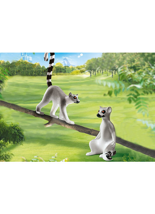 Lemurs (70355)