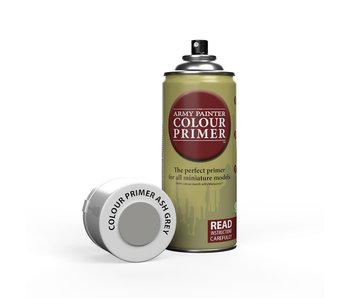 Colour Primer - Ash Grey Spray (TAPCP3029)