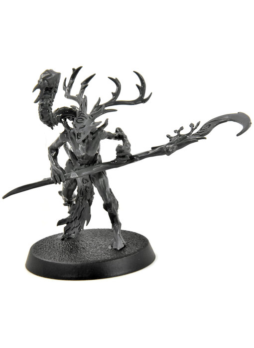 SYLVANETH Branchwych #1 Sigmar