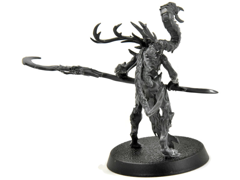 Games Workshop SYLVANETH Branchwych #1 Sigmar