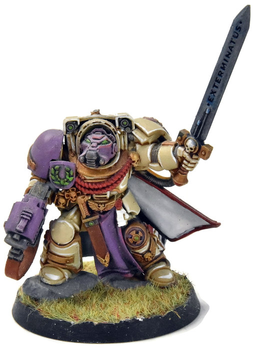 SPACE MARINES Terminator Captain #1 WELL PAINTED Warhammer 40K