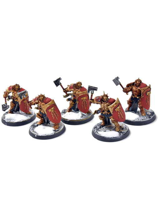 STORMCAST ETERNALS 5 Liberators #2 WELL PAINTED Sigmar