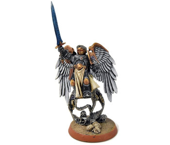 SPACE MARINES Emperor's Champion #1 PRO PAINTED CONVERTED METAL 40K