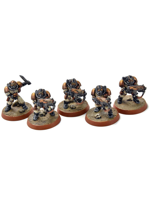SPACE MARINES 5 Scouts #3 PRO PAINTED Warhammer 40K