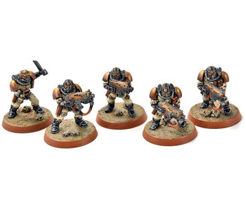 SPACE MARINES 5 Scouts #2 PRO PAINTED Warhammer 40K Alternate heads