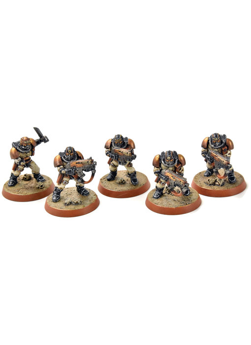SPACE MARINES 5 Scouts #2 PRO PAINTED Warhammer 40K Alternate heads