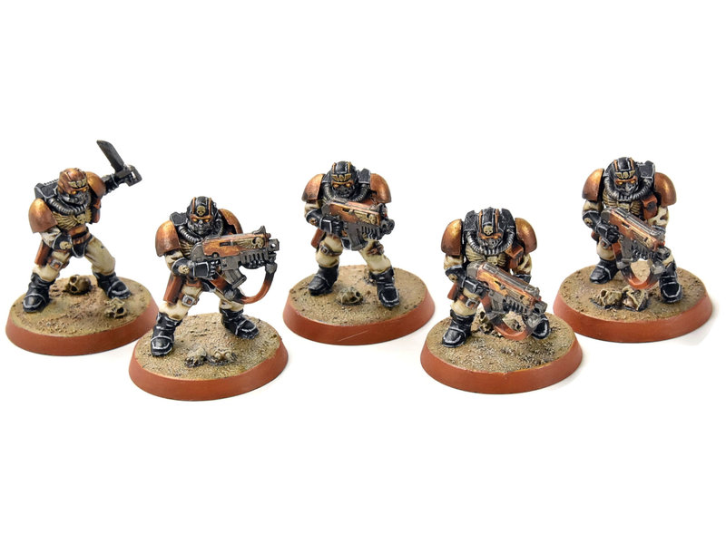 Games Workshop SPACE MARINES 5 Scouts #2 PRO PAINTED Warhammer 40K Alternate heads