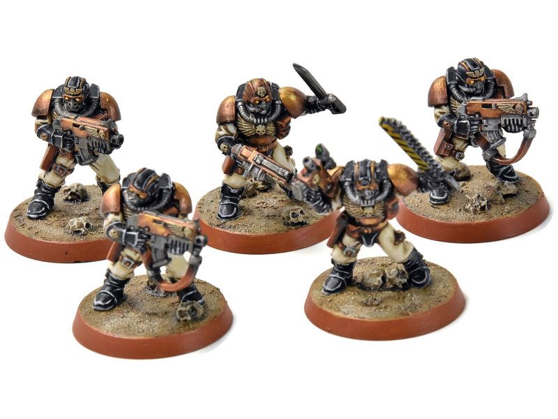 Games Workshop SPACE MARINES 5 Scouts Converted #1 PRO PAINTED Warhammer 40K