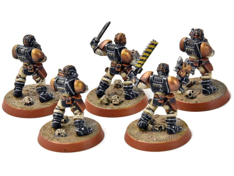 Games Workshop SPACE MARINES 5 Scouts Converted #1 PRO PAINTED Warhammer 40K