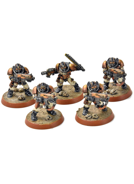 SPACE MARINES 5 Scouts Converted #2 PRO PAINTED Warhammer 40K