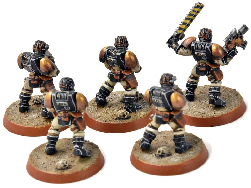 Games Workshop SPACE MARINES 5 Scouts Converted #3 PRO PAINTED Warhammer 40K