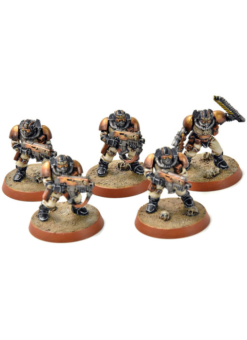SPACE MARINES 5 Scouts Converted #4 PRO PAINTED Warhammer 40K