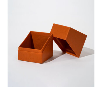 Ultimate Guard - RTE Boulder Deck Box Standard 100+  Orange