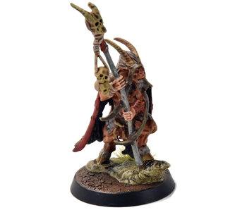 BEAST OF CHAOS Great Bray Shaman #1 WELL PAINTED Sigmar