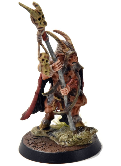 BEAST OF CHAOS Great Bray Shaman #1 WELL PAINTED Sigmar