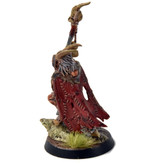 Games Workshop BEAST OF CHAOS Great Bray Shaman #1 WELL PAINTED Sigmar