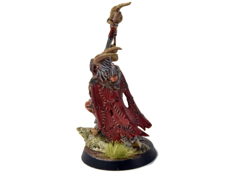 Games Workshop BEAST OF CHAOS Great Bray Shaman #1 WELL PAINTED Sigmar
