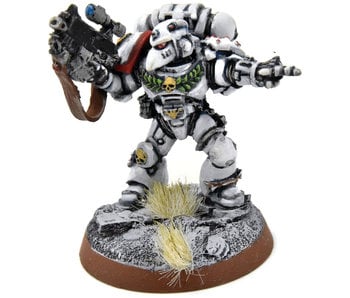 SPACE MARINES Space Marines Veterans #2 WELL PAINTED white scars