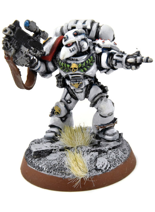 SPACE MARINES Space Marines Veterans #2 WELL PAINTED white scars