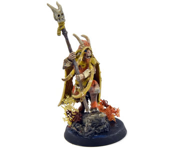 BEASTS OF CHAOS Great Bray Shaman #1 Sigmar WELL PAINTED