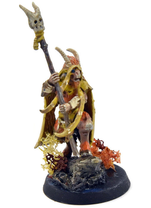 BEASTS OF CHAOS Great Bray Shaman #1 Sigmar WELL PAINTED