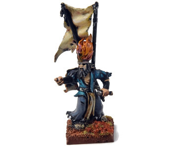 THE EMPIRE Wizard Mage #1 WELL PAINTED CONVERTED Fantasy