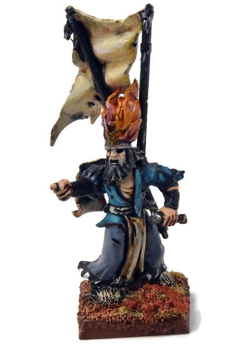 THE EMPIRE Wizard Mage #1 WELL PAINTED CONVERTED Fantasy