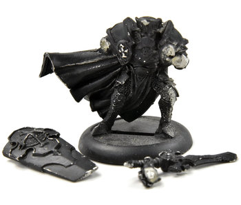 WARMACHINE Paladin of the Order of the Wall #1 METAL Protectorate of Menoth